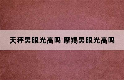 天秤男眼光高吗 摩羯男眼光高吗